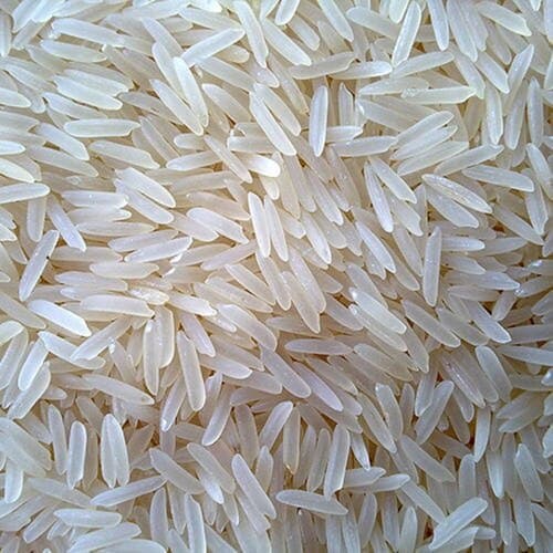 1509 Basmati