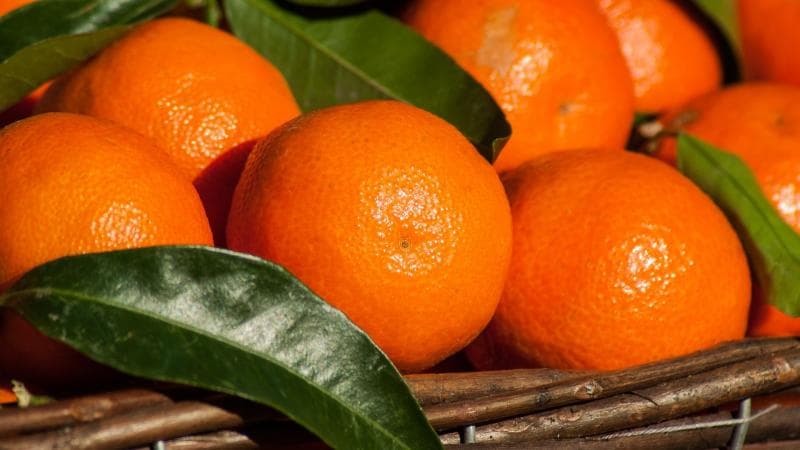 Fresh Mandarin (Kinnow)